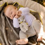 Jucarii, Copii si Bebe - Jucarii si jocuri - Jucarii bebelusi - Jucarii zornaitoare - Zornaitoare - Koala - Infinity.ro