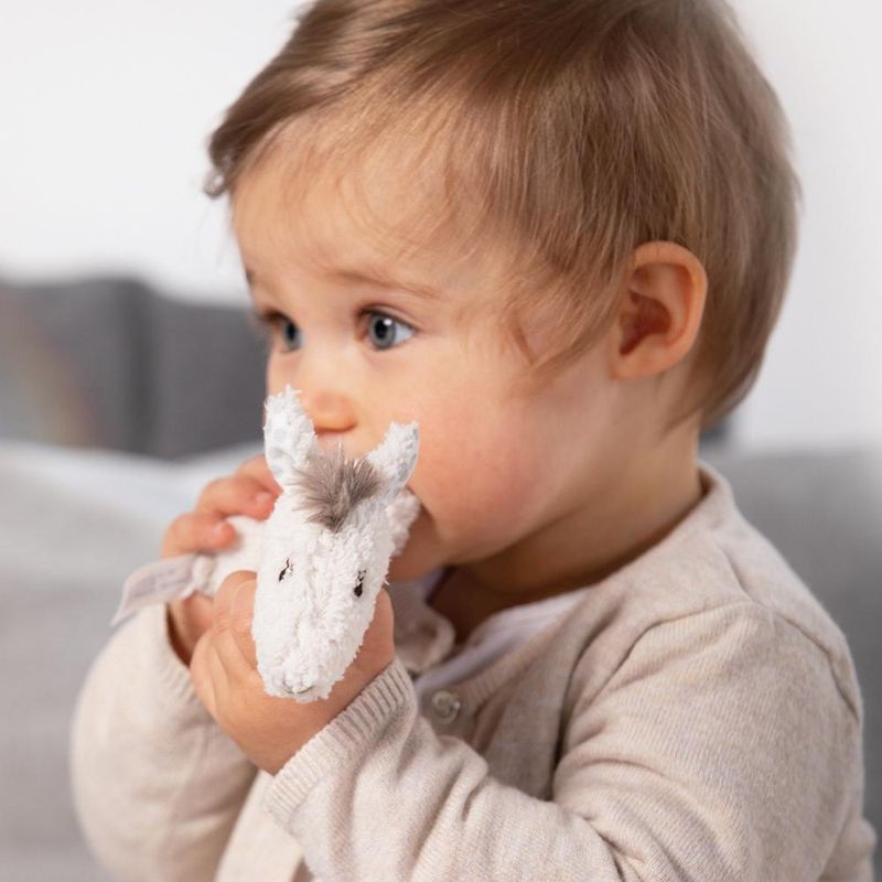 Jucarii, Copii si Bebe - Jucarii si jocuri - Jucarii bebelusi - Jucarii zornaitoare - Zornaitoare - Lama - Infinity.ro