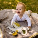 Jucarii, Copii si Bebe - Jucarii si jocuri - Jucarii bebelusi - Jucarii interactive bebelusi - Carticica pentru bebelusi - Koala - Infinity.ro