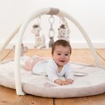 Jucarii, Copii si Bebe - Jucarii si jocuri - Jucarii bebelusi - Centre de activitati - Salteluta de joaca - Peru - Infinity.ro