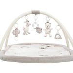 Jucarii, Copii si Bebe - Jucarii si jocuri - Jucarii bebelusi - Centre de activitati - Salteluta de joaca - Peru - Infinity.ro