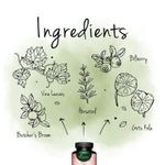 Ingrijire personala si Cosmetice - Sanatate si wellness - Suplimente alimentare - Vitamine si minerale - Vegavero Complex Picioare Usoare 120 Capsule - Infinity.ro