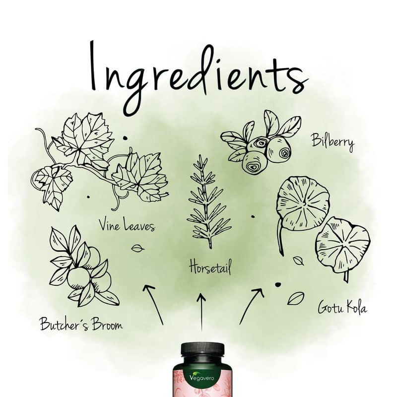 Ingrijire personala si Cosmetice - Sanatate si wellness - Suplimente alimentare - Vitamine si minerale - Vegavero Complex Picioare Usoare 120 Capsule - Infinity.ro