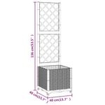 Casa si Gradina - Gradinarit si plante - Plante si ghivece - Ghivece si suporturi - Jardiniera de gradina cu spalier, gri deschis, 40x40x136 cm, PP - Infinity.ro