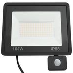 Casa si Gradina - Corpuri si surse de iluminat - Plafoniere, aplice si spoturi - Proiector LED cu senzor, 100 W, alb rece - Infinity.ro
