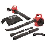 Casa si Gradina - Gradinarit si plante - Utilaje gradina - Aspiratoare, suflante si tocatoare - Suflanta si aspirator cu motor 3 in 1 LBH2600P Scheppach 5911104903, 1 Cp, 3500 rpm - Infinity.ro