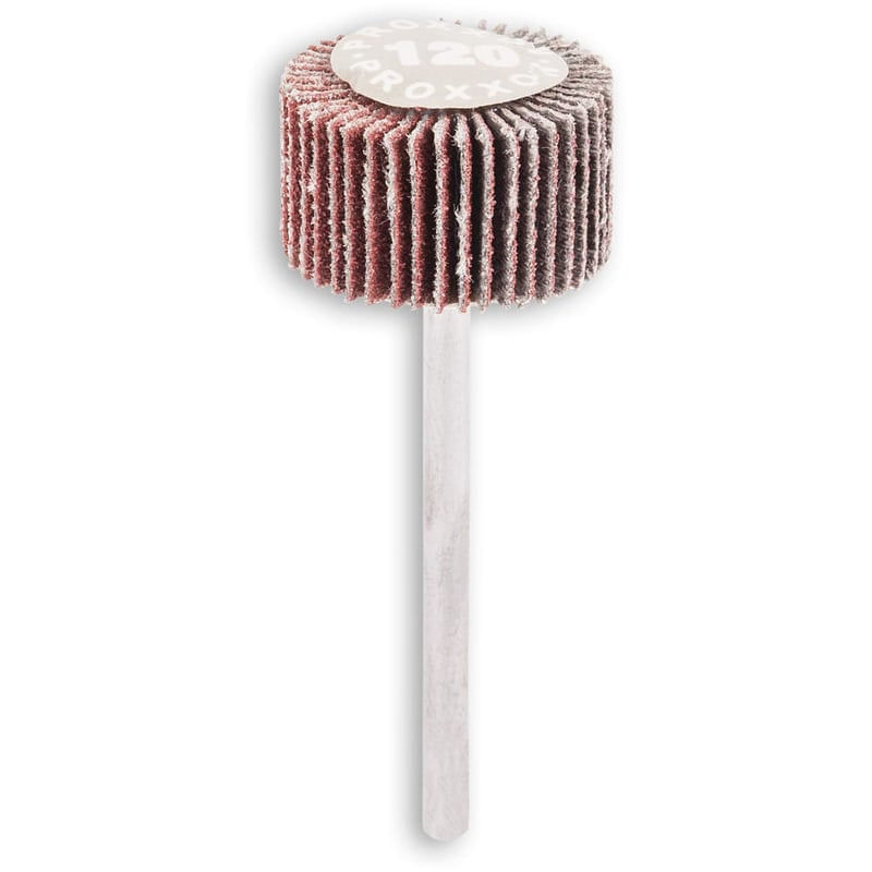 Casa si Gradina - Constructii - Scule electrice si accesorii - Accesorii polizare si slefuire - Perie evantai, slefuire lemn, plastic, metal Proxxon 28984, Ø20 mm, granulatie K120 - Infinity.ro