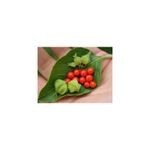 Ingrijire personala si Cosmetice - Sanatate si wellness - Suplimente alimentare - Vitamine si minerale - OstroVit Ashwagandha extract cu witanolide, 90 Tablete - Infinity.ro