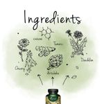 Ingrijire personala si Cosmetice - Sanatate si wellness - Suplimente alimentare - Vitamine si minerale - Vegavero Complex Protectie Ficat 90 Capsule - Infinity.ro