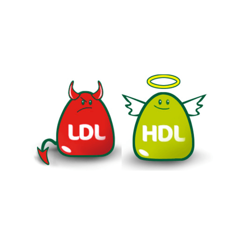 Ingrijire personala si Cosmetice - Sanatate si wellness - Suplimente alimentare - Vitamine si minerale - Colesterol si Trigliceride marite: Krill Oil si Cholesteril New Generation 60 capsule fiecare - Infinity.ro