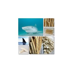 Ingrijire personala si Cosmetice - Sanatate si wellness - Suplimente alimentare - Infinity.ro