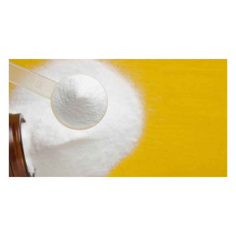 Ingrijire personala si Cosmetice - Sanatate si wellness - Suplimente alimentare - Vitamine si minerale - Pure Nutrition USA L-Glutamina Kyowa pudra 500 grame - Infinity.ro