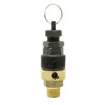 Casa si Gradina - Electrice - Echipamente electrice - Accesorii compresoare - Supapa de siguranta pentru compresor de 3/8 " 8 bari B-AC0046 - Infinity.ro