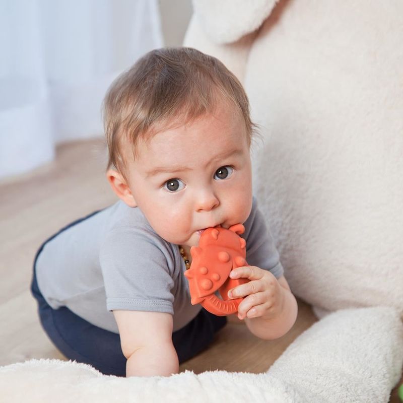 Jucarii, Copii si Bebe - Igiena si ingrijire - Articole igiena dentara copii - Jucarie organica pentru dentitie, din cauciuc natural, Gargarita, Grunspecht 681-00 - Infinity.ro