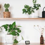 Jucarii, Copii si Bebe - Igiena si ingrijire - Accesorii ingrijire copii - Termometre copii - Termometru digital de camera, cu suport magnetic, negru, TFA 30.1065.01 - Infinity.ro