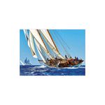 Jucarii, Copii si Bebe - Jucarii si jocuri - Jocuri si puzzle - Puzzle - Puzzle Educa - Sailboat, 1000 piese - Infinity.ro