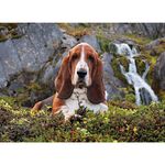 Jucarii, Copii si Bebe - Jucarii si jocuri - Jocuri si puzzle - Puzzle - Puzzle Clementoni - Charlie Brow, 1000 piese - Infinity.ro