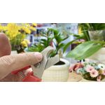 Casa si Gradina - Constructii - Scule de mana si unelte - Clesti si patenti - Foarfeca de taiat cablu Bessey D49, 160 mm - Infinity.ro