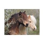 Jucarii, Copii si Bebe - Jucarii si jocuri - Jocuri si puzzle - Puzzle - Puzzle 150 piese Ravensburger - Ponei - Infinity.ro