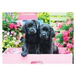 Jucarii, Copii si Bebe - Jucarii si jocuri - Jocuri si puzzle - Puzzle - Puzzle 500 piese XXL - Black Labs in Pink Box - Infinity.ro