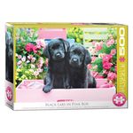 Jucarii, Copii si Bebe - Jucarii si jocuri - Jocuri si puzzle - Puzzle - Puzzle 500 piese XXL - Black Labs in Pink Box - Infinity.ro