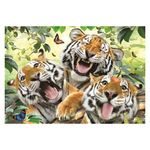 Jucarii, Copii si Bebe - Jucarii si jocuri - Jocuri si puzzle - Puzzle - Puzzle Anatolian - Tiger Selfie, 260 piese - Infinity.ro