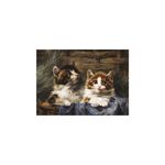 Jucarii, Copii si Bebe - Jucarii si jocuri - Jocuri si puzzle - Puzzle - Puzzle Gold Puzzle - Julius Adam: Two Kittens in a Basket, 500 piese - Infinity.ro