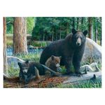 Jucarii, Copii si Bebe - Jucarii si jocuri - Jocuri si puzzle - Puzzle - Puzzle Eurographics - New Discoveries, 1000 piese - Infinity.ro