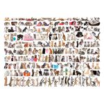 Jucarii, Copii si Bebe - Jucarii si jocuri - Jocuri si puzzle - Puzzle - Puzzle Eurographics - The World of Cats, 1000 piese - Infinity.ro