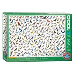 Jucarii, Copii si Bebe - Jucarii si jocuri - Jocuri si puzzle - Puzzle - Puzzle Eurographics - The World of Birds, 1000 piese - Infinity.ro
