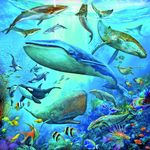 Jucarii, Copii si Bebe - Jucarii si jocuri - Jocuri si puzzle - Puzzle - Puzzle Ravensburger - Lumea Subacvatica, 3x49 piese - Infinity.ro