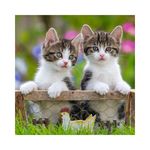 Jucarii, Copii si Bebe - Jucarii si jocuri - Jocuri si puzzle - Puzzle - Puzzle Ravensburger - Kittens, 3x49 piese - Infinity.ro