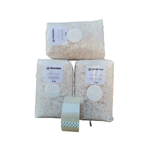 Casa si Gradina - Gradinarit si plante - Plante si ghivece - Infinity.ro