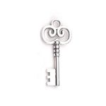 Fashion, accesorii si bijuterii - Barbati - Bijuterii barbati - Lanturi si pandantive barbati - Pandantiv decorativ cheie, 19 x 40 mm Platinum - Infinity.ro
