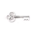 Fashion, accesorii si bijuterii - Barbati - Bijuterii barbati - Lanturi si pandantive barbati - Pandantiv decorativ cheie, 19 x 40 mm Platinum - Infinity.ro