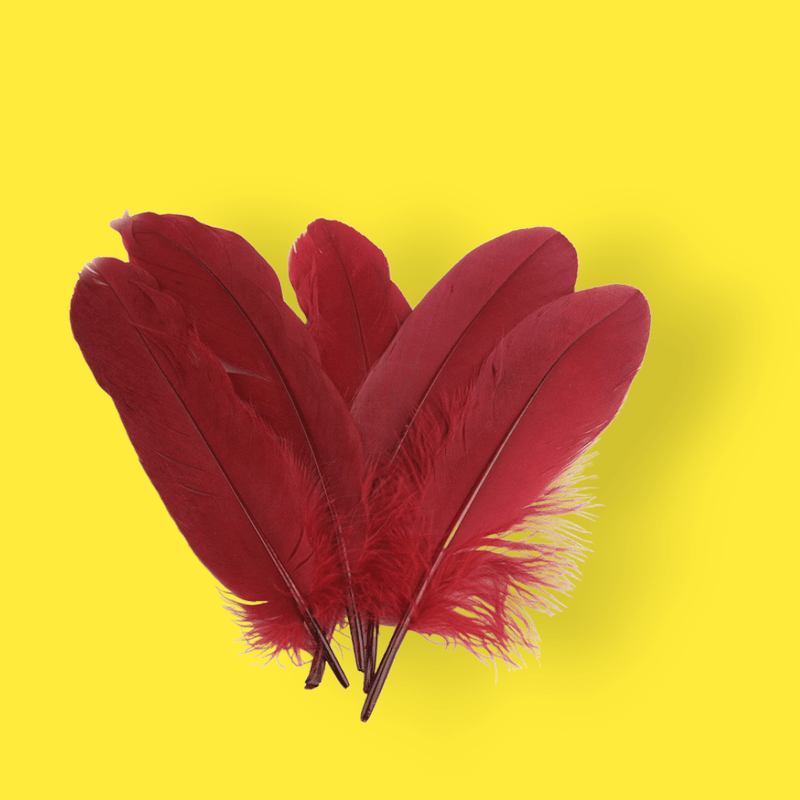 Casa si Gradina - Decoratiuni - Obiecte decorative - Accesorii decorative - Set 20 pene decorative gasca, lungime 15 -21 cm, Bordo - Infinity.ro