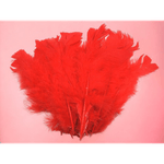 Casa si Gradina - Decoratiuni - Obiecte decorative - Accesorii decorative - Set 20 pene decorative curca, lungime 10 - 15 cm, Rosu - Infinity.ro