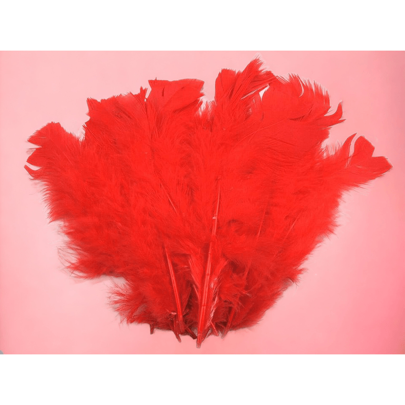Casa si Gradina - Decoratiuni - Obiecte decorative - Accesorii decorative - Set 20 pene decorative curca, lungime 10 - 15 cm, Rosu - Infinity.ro
