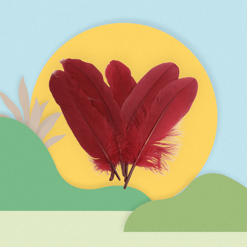 Casa si Gradina - Decoratiuni - Obiecte decorative - Accesorii decorative - Set 20 pene decorative gasca, lungime 15 -21 cm, Bordo - Infinity.ro