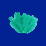 Casa si Gradina - Decoratiuni - Obiecte decorative - Accesorii decorative - Set 20 pene decorative curca, lungime 10 - 15 cm, Verde marin - Infinity.ro