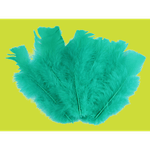 Casa si Gradina - Decoratiuni - Obiecte decorative - Accesorii decorative - Set 20 pene decorative curca, lungime 10 - 15 cm, Verde marin - Infinity.ro