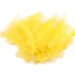 Casa si Gradina - Decoratiuni - Obiecte decorative - Accesorii decorative - Set 20 pene decorative strut, lungime 9-16 cm, Galben - Infinity.ro