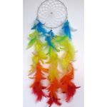 Casa si Gradina - Decoratiuni - Obiecte decorative - Accesorii decorative - Set 20 pene decorative strut, lungime 9-16 cm, Galben - Infinity.ro