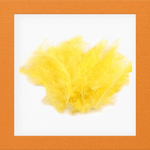 Casa si Gradina - Decoratiuni - Obiecte decorative - Accesorii decorative - Set 20 pene decorative strut, lungime 9-16 cm, Galben - Infinity.ro