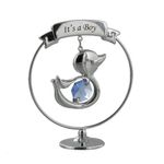 Casa si Gradina - Decoratiuni - Obiecte decorative - Decoratiuni camera copilului - Marturie cu cristale Swarovski It's a Boy model ratusca - Infinity.ro