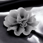 Casa si Gradina - Decoratiuni - DIY - Articole mercerie - Floare textila din sifon pentru haine, diametru 8 cm, Gri - Infinity.ro