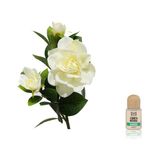 Casa si Gradina - Decoratiuni - Aromaterapie si lumanari - Uleiuri esentiale aromaterapie - Esenta naturala (ulei) aromaterapie SyS Aromas, Gardenia 12 ml - Infinity.ro