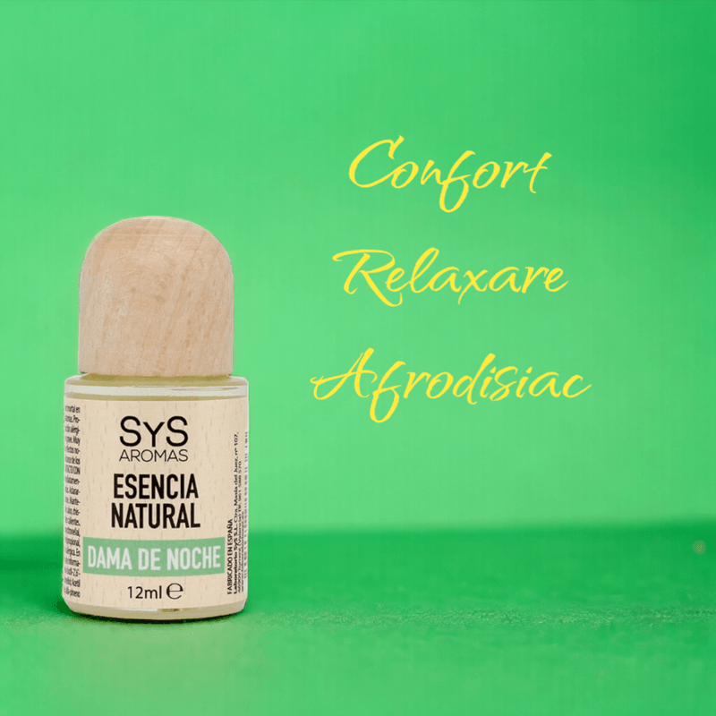 Casa si Gradina - Decoratiuni - Aromaterapie si lumanari - Uleiuri esentiale aromaterapie - Esenta naturala (ulei) aromaterapie SyS Aromas, Regina Noptii 12 ml - Infinity.ro