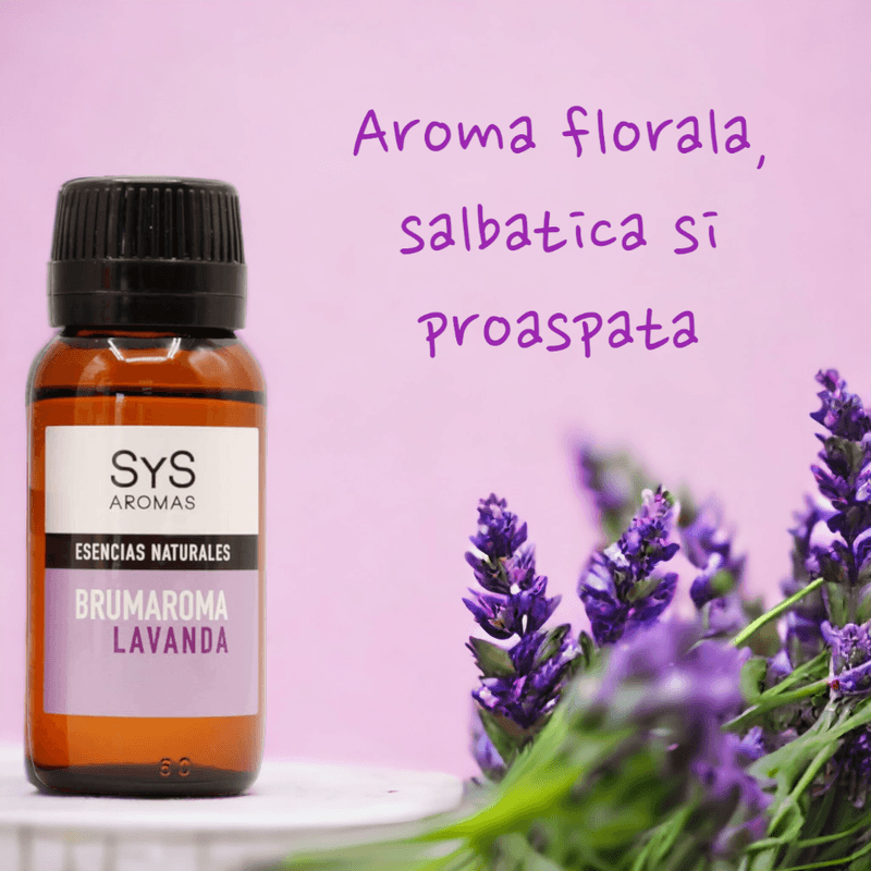 Casa si Gradina - Decoratiuni - Aromaterapie si lumanari - Uleiuri esentiale aromaterapie - Esenta naturala Brumaroma difuzor/umidificator SyS Aromas, Lavanda 50 ml - Infinity.ro