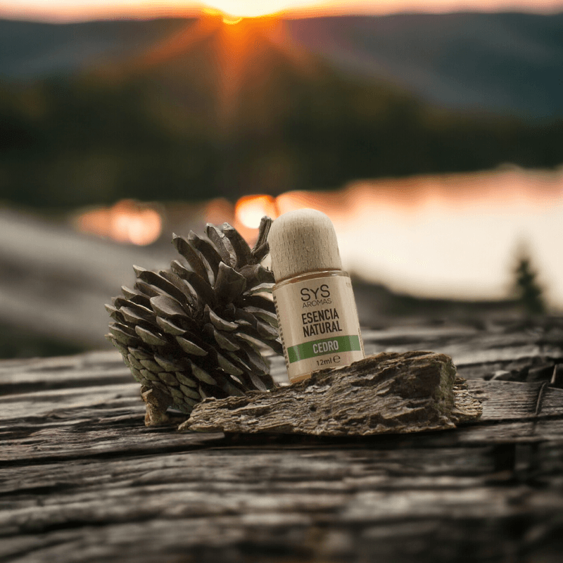 Casa si Gradina - Decoratiuni - Aromaterapie si lumanari - Uleiuri esentiale aromaterapie - Esenta naturala (ulei) aromaterapie SyS Aromas, Cedru 12 ml - Infinity.ro